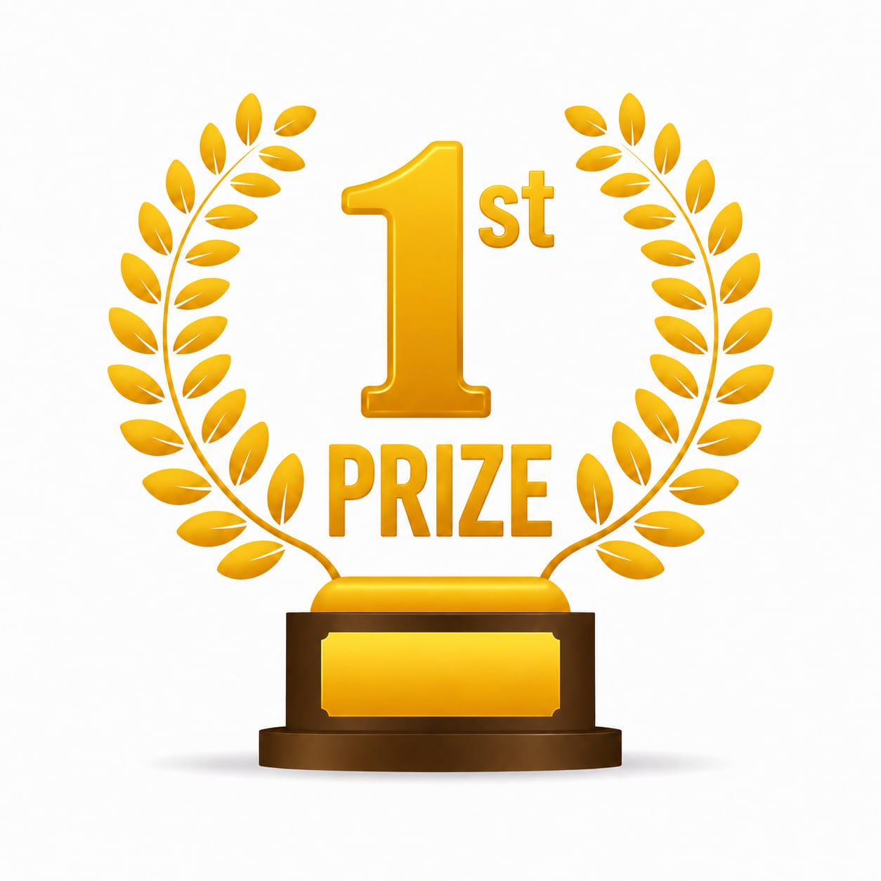 1st Prize