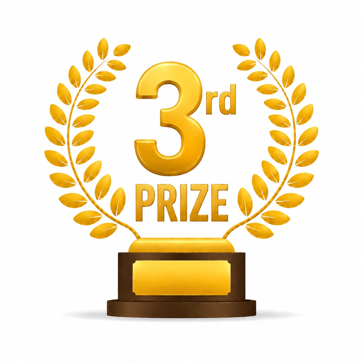 3rd Prize
